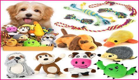 Best Toys for Pets Home Alone