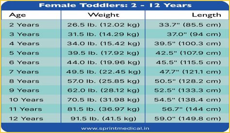 Nacer Chadli Net Worth, Weight, Age, Height, Bio